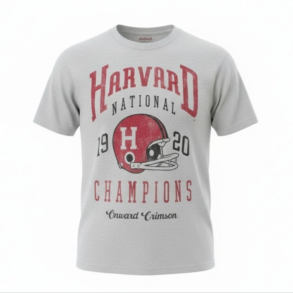 Veritas Gray and Red Graphic T-Shirt